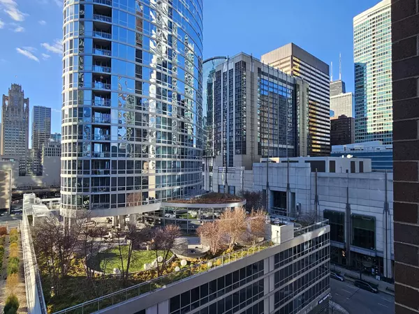 Chicago, IL 60611,480 N McClurg Court #1219