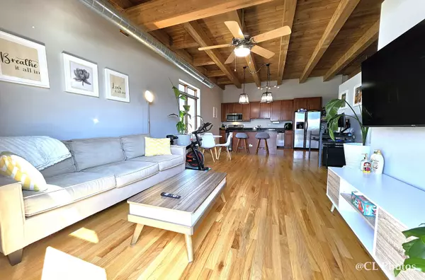 Chicago, IL 60622,500 N Damen Avenue #401