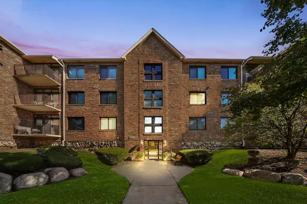 11001 Deblin Lane #203, Oak Lawn, IL 60453