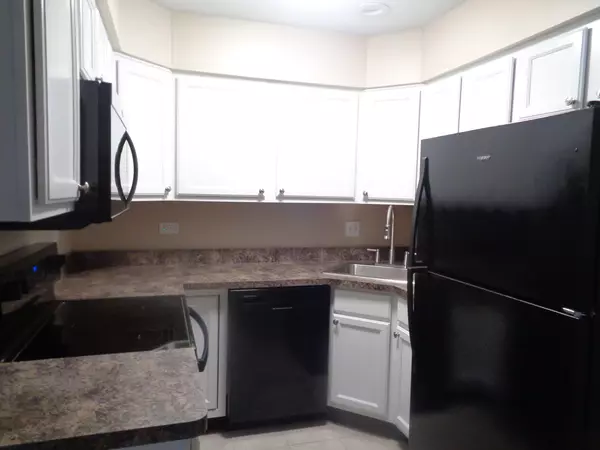 Chicago Ridge, IL 60415,10442 S BROOKS Lane #C1