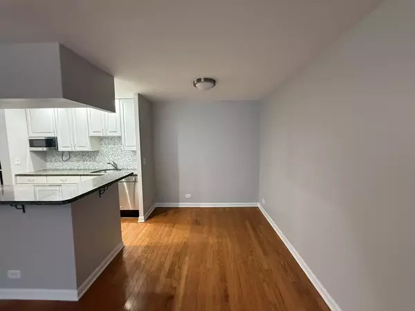 Chicago, IL 60613,744 W GORDON Terrace #203