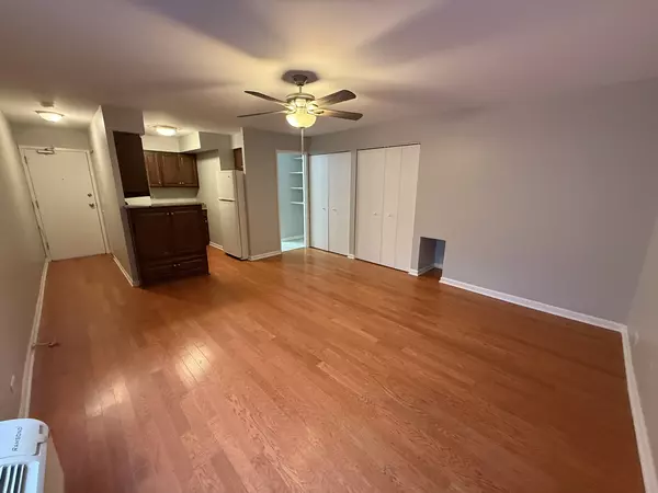 Chicago, IL 60613,744 W GORDON Terrace #207