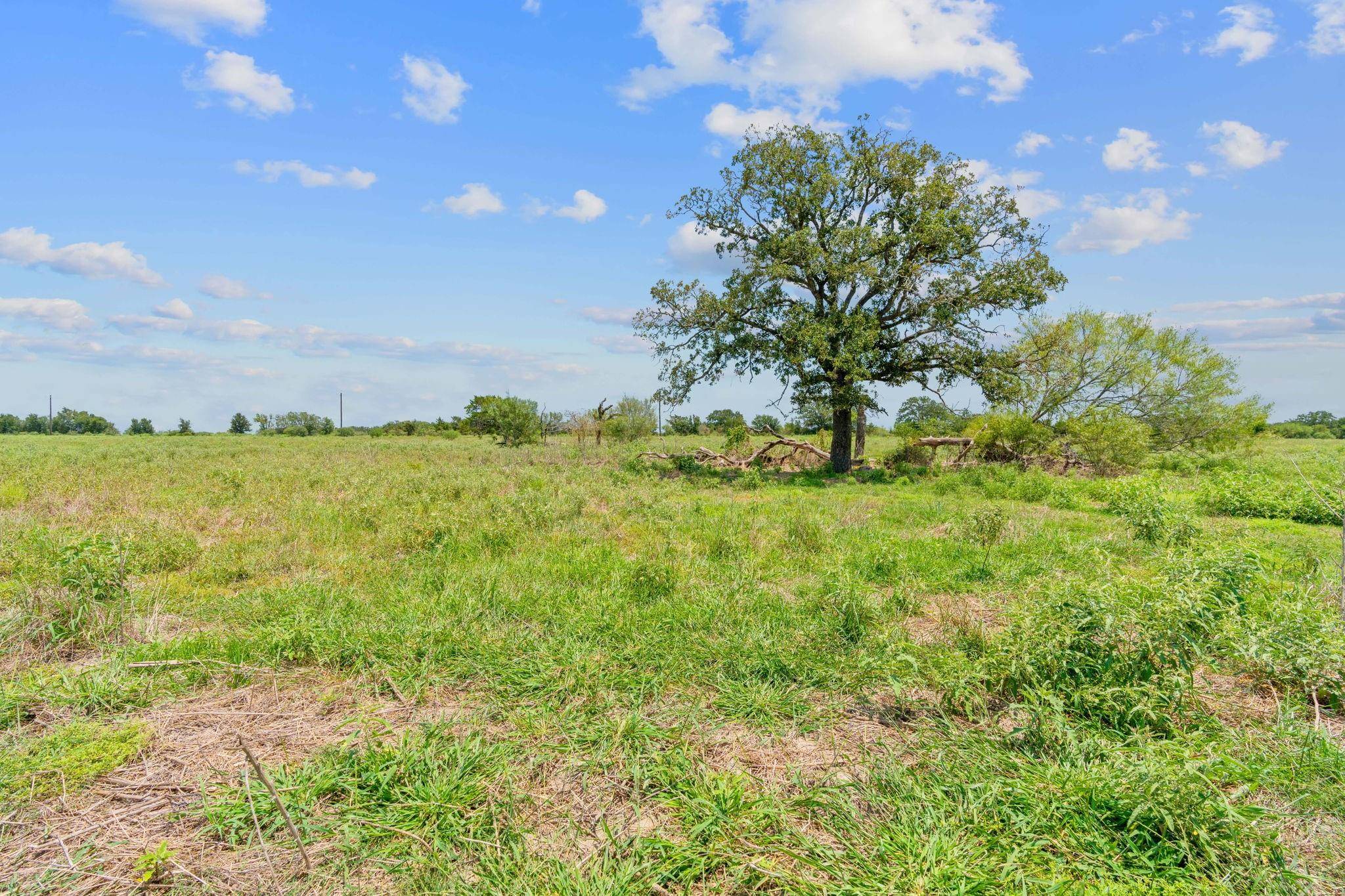 Flatonia, TX 78632,Lot 10 CR 402