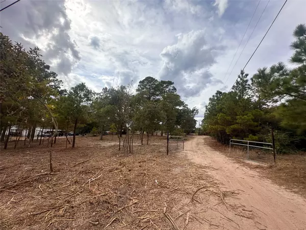 Bastrop, TX 78602,287 Pine Hill LOOP