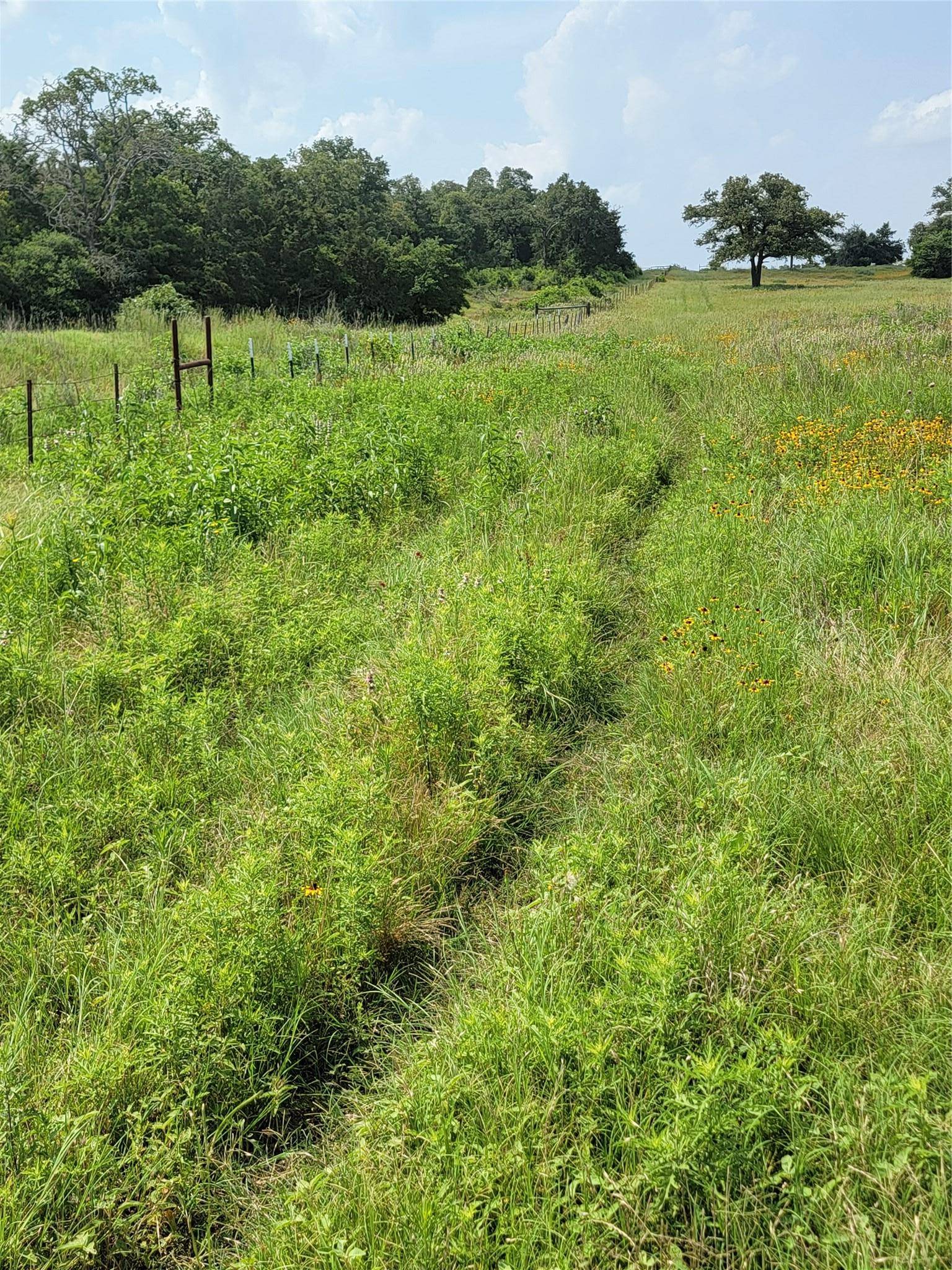 R27052 County Road 326, Rockdale, TX 76567