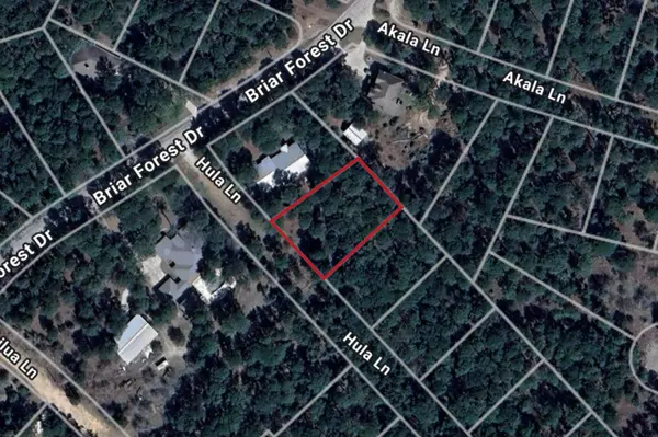 Bastrop, TX 78602,0 Hula Lane