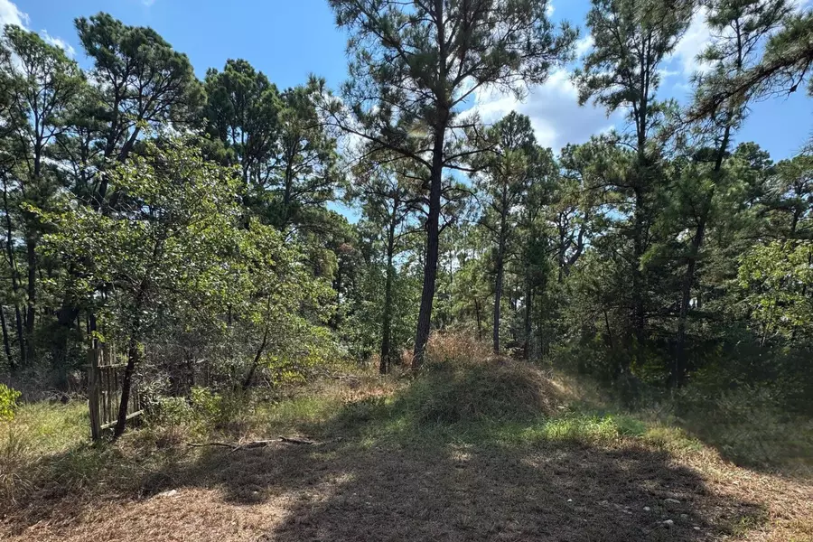 0 Hula Lane, Bastrop, TX 78602
