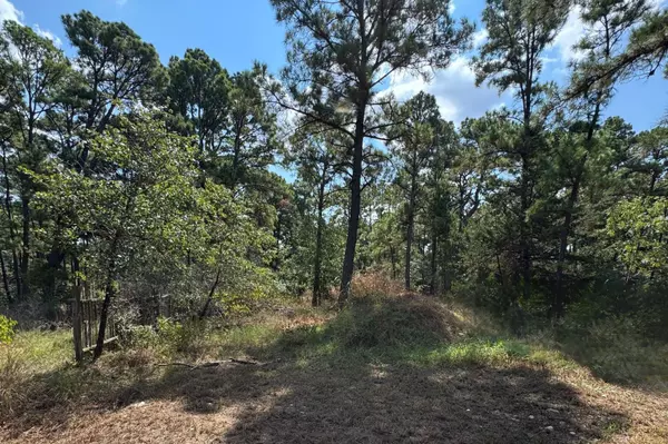 Bastrop, TX 78602,0 Hula Lane