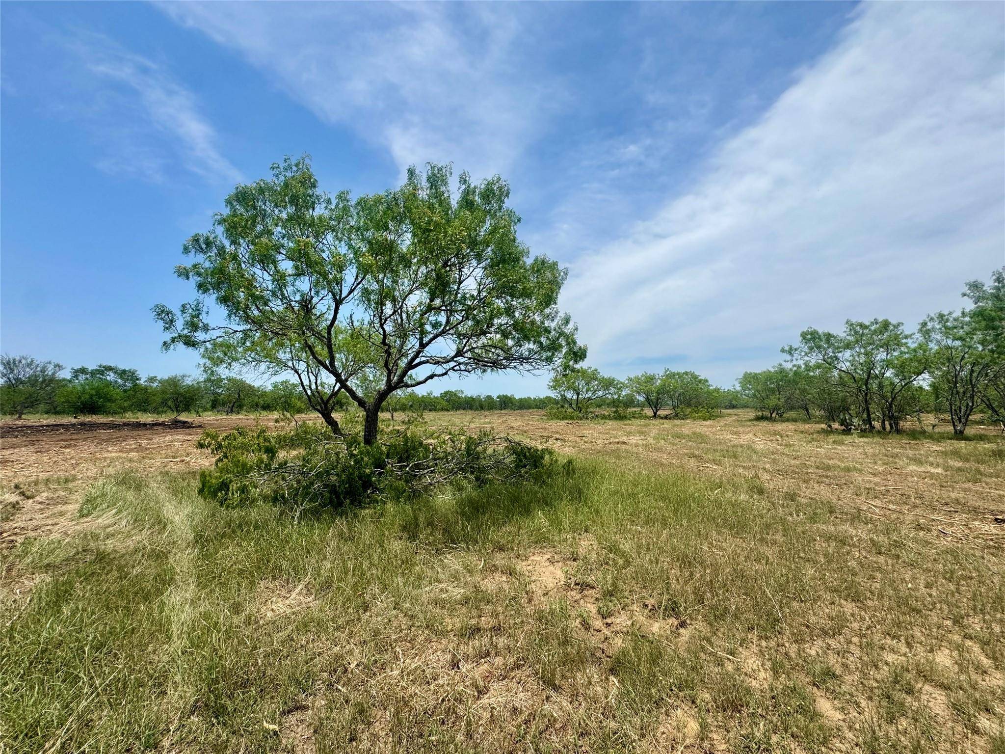 Nixon, TX 78140,0000 CR 171