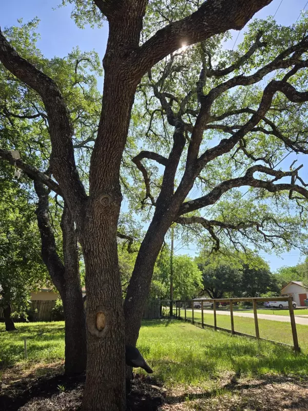 Jonestown, TX 78645,18215 Center ST