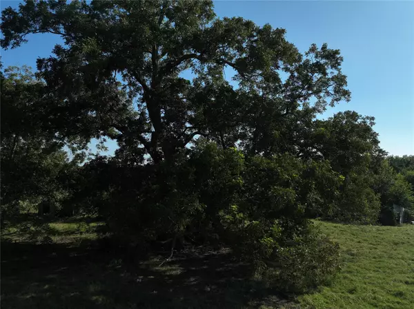 Brenham, TX 77833,TBD Lot 4 Randermann RD