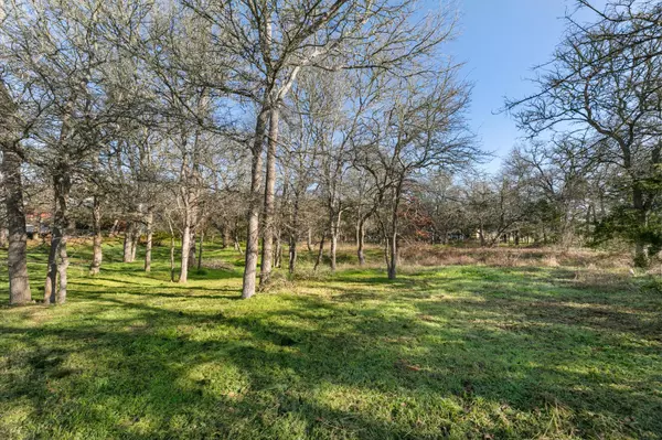 Cedar Creek, TX 78612,385 Texas Oak DR