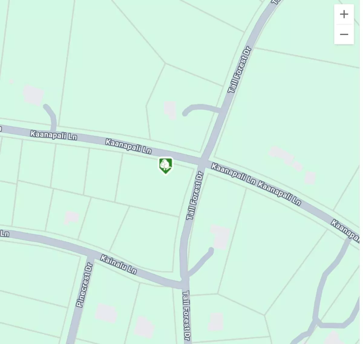 Bastrop, TX 78602,tbh Kaanapali LN