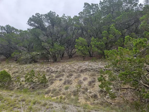 Lago Vista, TX 78645,8113 Arroyo Ave