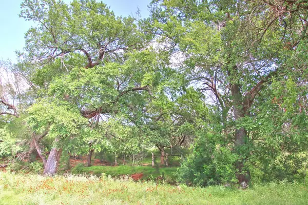 Burnet, TX 78611,0 County Road 110