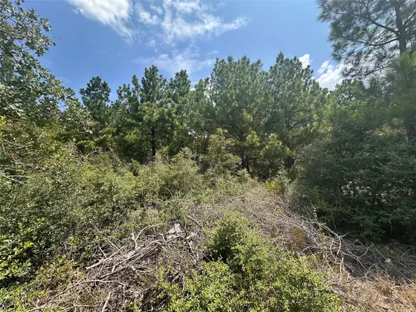 Bastrop, TX 78602,LOT 42 Hereford LN