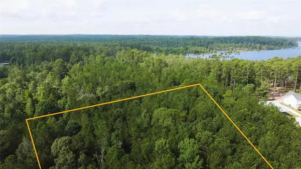 Browndell, TX 75931,28 Live Oak DR