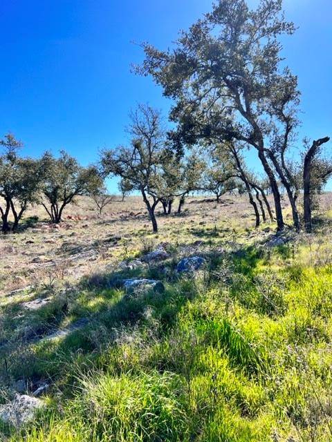 Kingsland, TX 78639,Lot 202 TBD Westridge Way, Big Creek Ranch