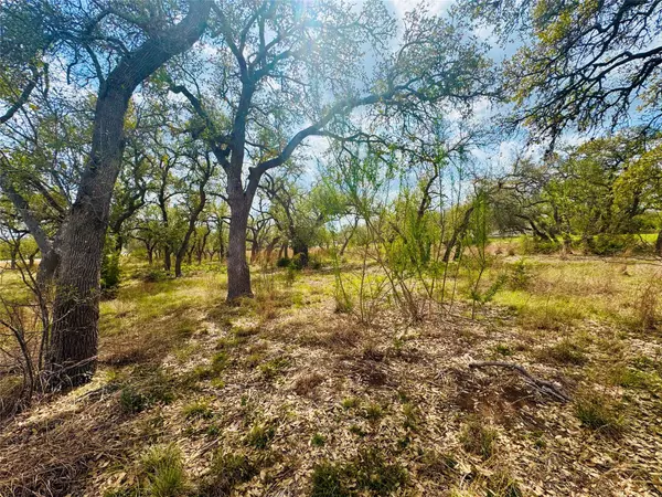 Driftwood, TX 78619,122 Carousel LN