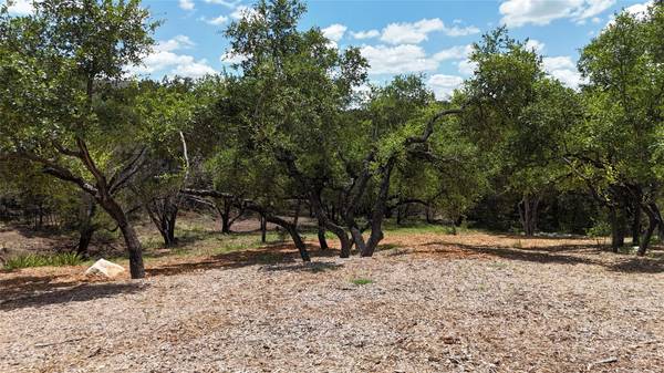1106 Larkhall DR, Spicewood, TX 78669
