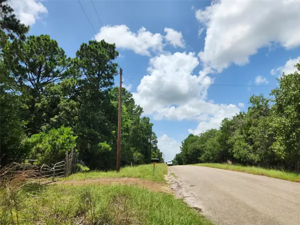 Smithville, TX 78957,445 Pine Valley LOOP
