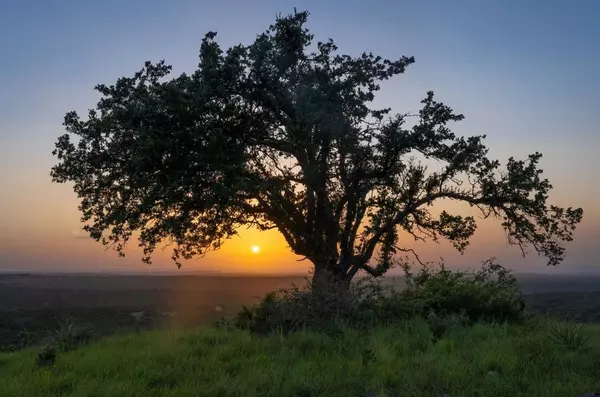 Round Mountain, TX 78663,Lot 36 - 6.65 Acres - Round Mountain Reserve DR