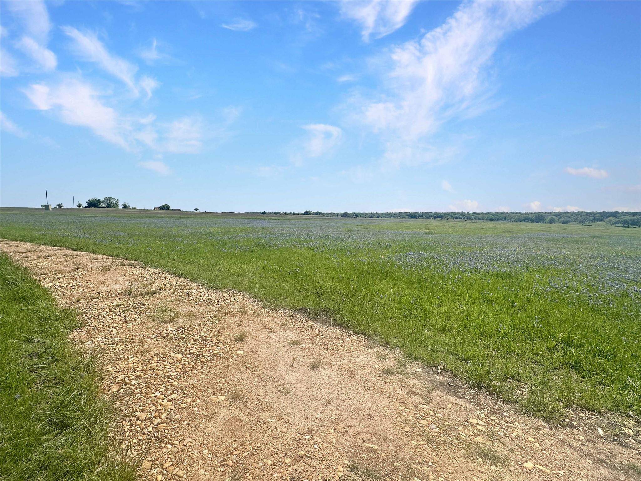 Schulenburg, TX 78956,2523 Roitsch RD