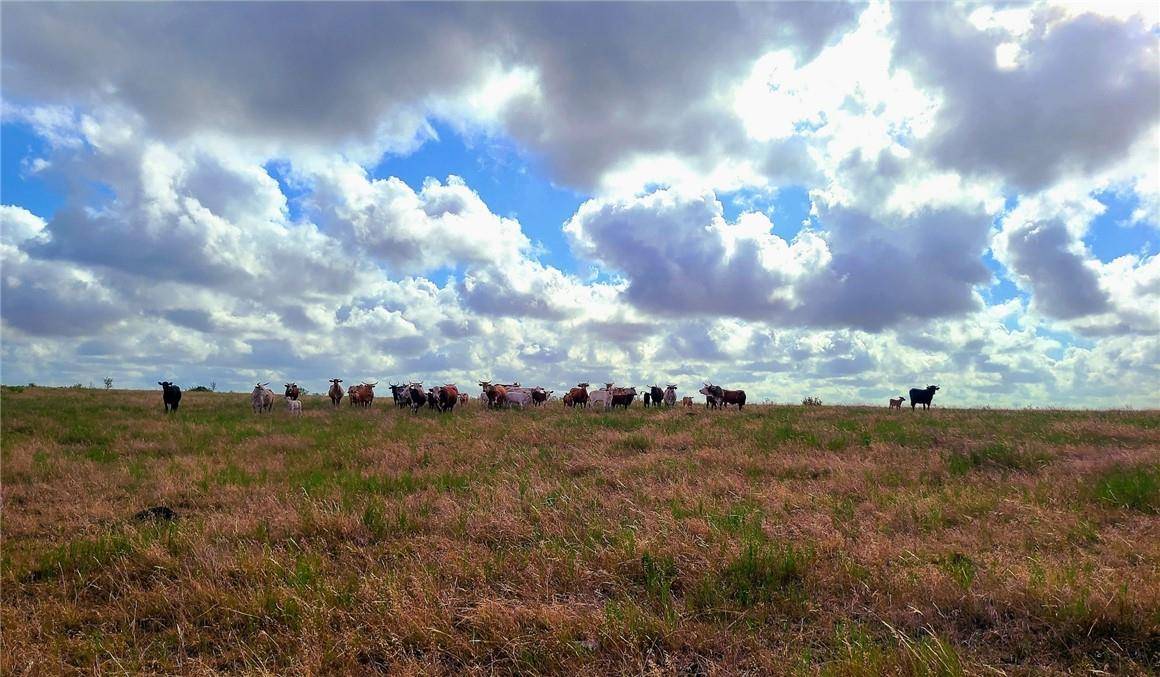Waelder, TX 78959,TBD 43 Acres East County Rd 446