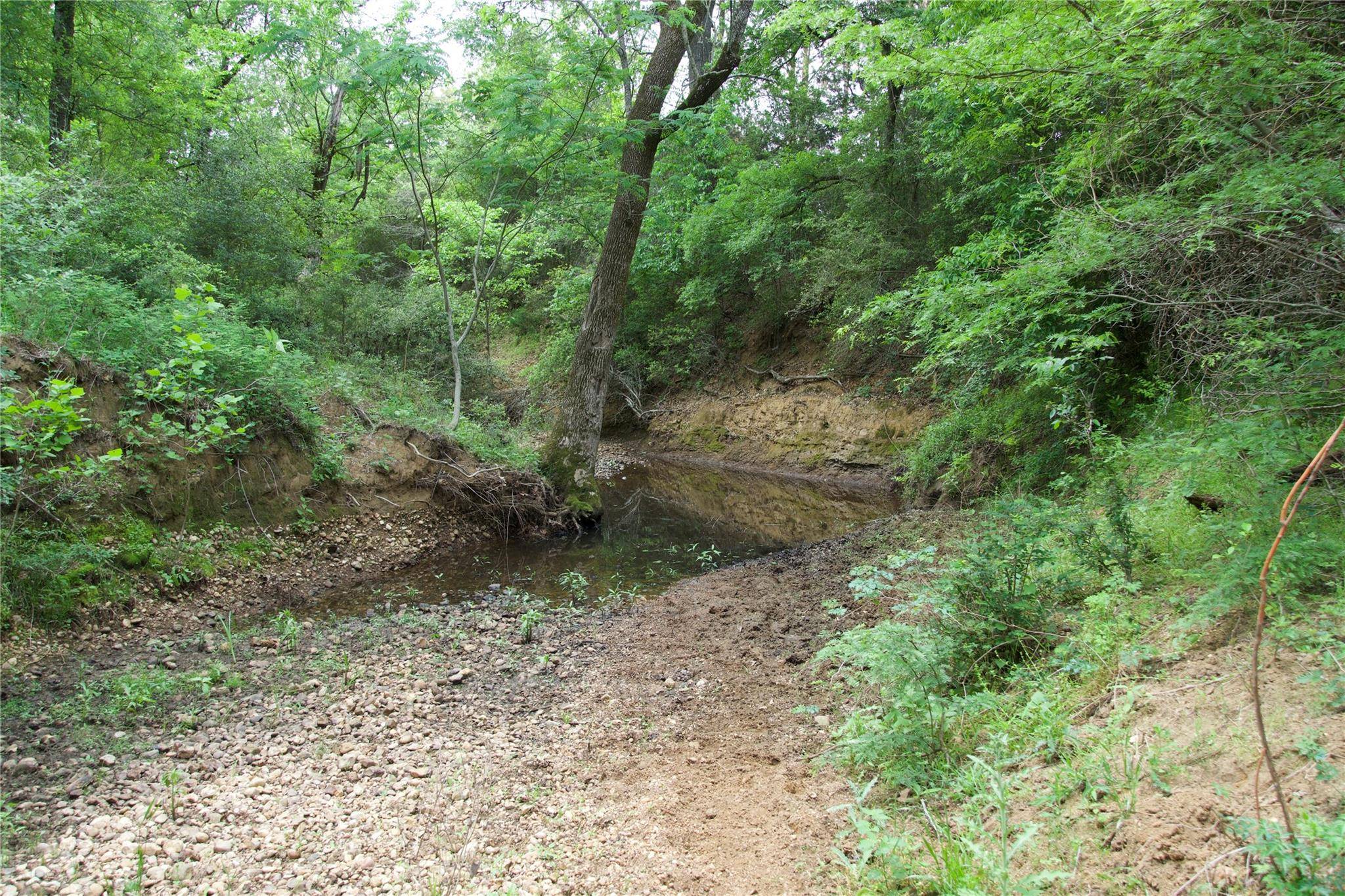 Paige, TX 78659,TBD St Delight Rd (Tract 10)
