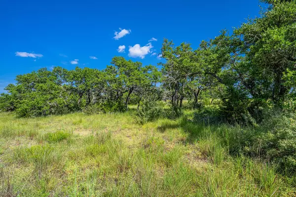 Johnson City, TX 78636,613 Cattle Creek RD
