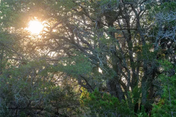 Marble Falls, TX 78611,TBD Mormon Mill Road
