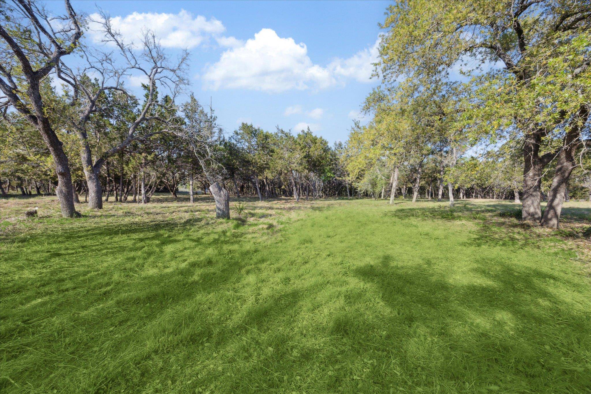 Dripping Springs, TX 78620,274 Waters Edge CV