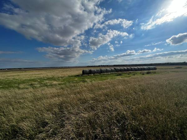 1438 County Road 438, Thorndale, TX 76577