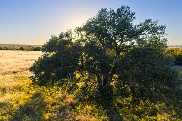 Hamilton, TX 76531,TBD County Road 511