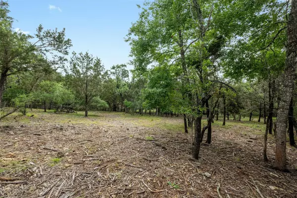 Driftwood, TX 78619,1005 Covered Bridge DR