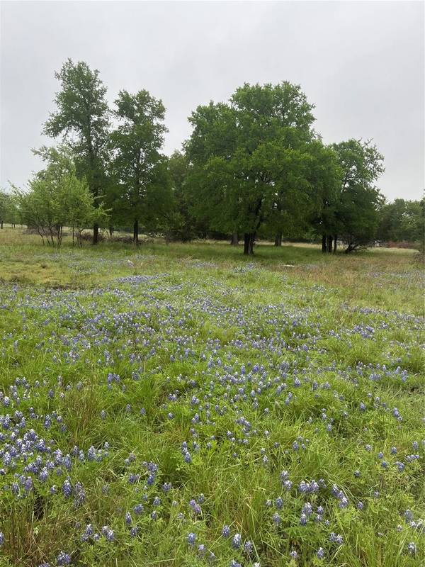 TBD Cheyenne PASS, Salado, TX 76571