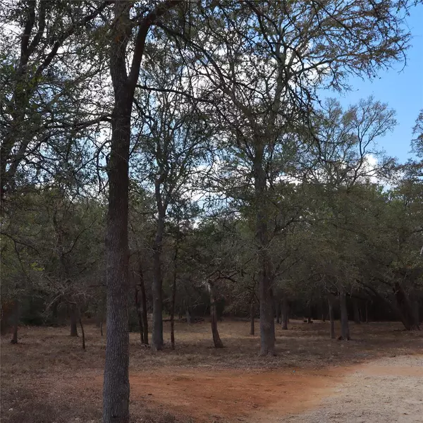 Cedar Creek, TX 78612,282 Texas Oak DR