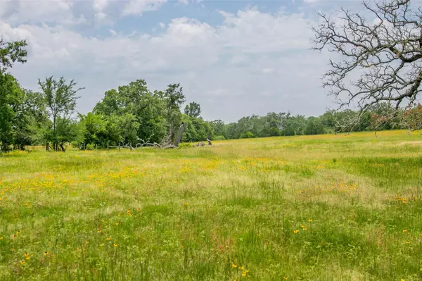 Somerville, TX 77879,Lot 32 (5.41 Acres) Legacy RD