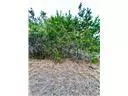 Killeen, TX 76542,8601 Trimmier RD