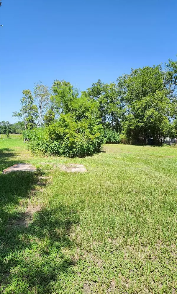 Eagle Lake, TX 77434,300 E Davitt ST
