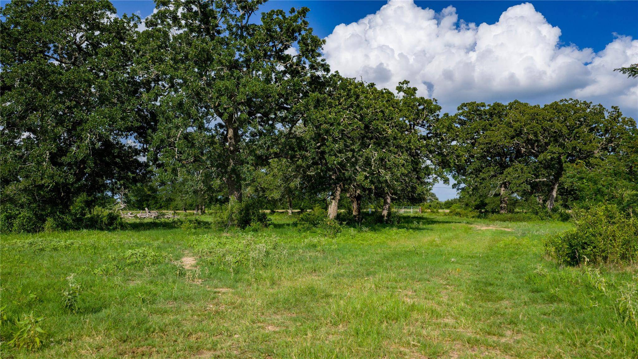 Smithville, TX 78957,TBD FM 2104