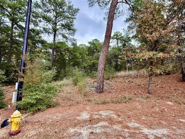 Bastrop, TX 78602,109 and 115 Olomana CT