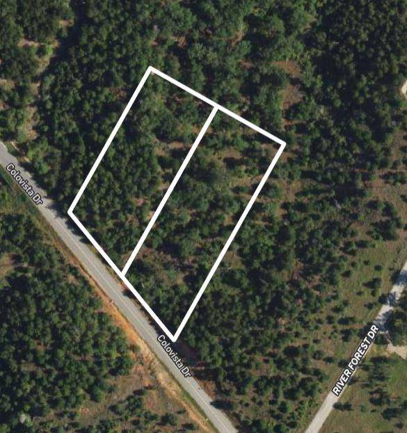 TBD - Lots 2 & 3 Colovista DR, Bastrop, TX 78602