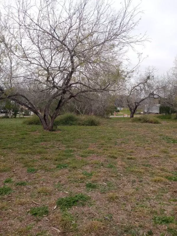 George West, TX 78383,146 Windy Ridge LOOP