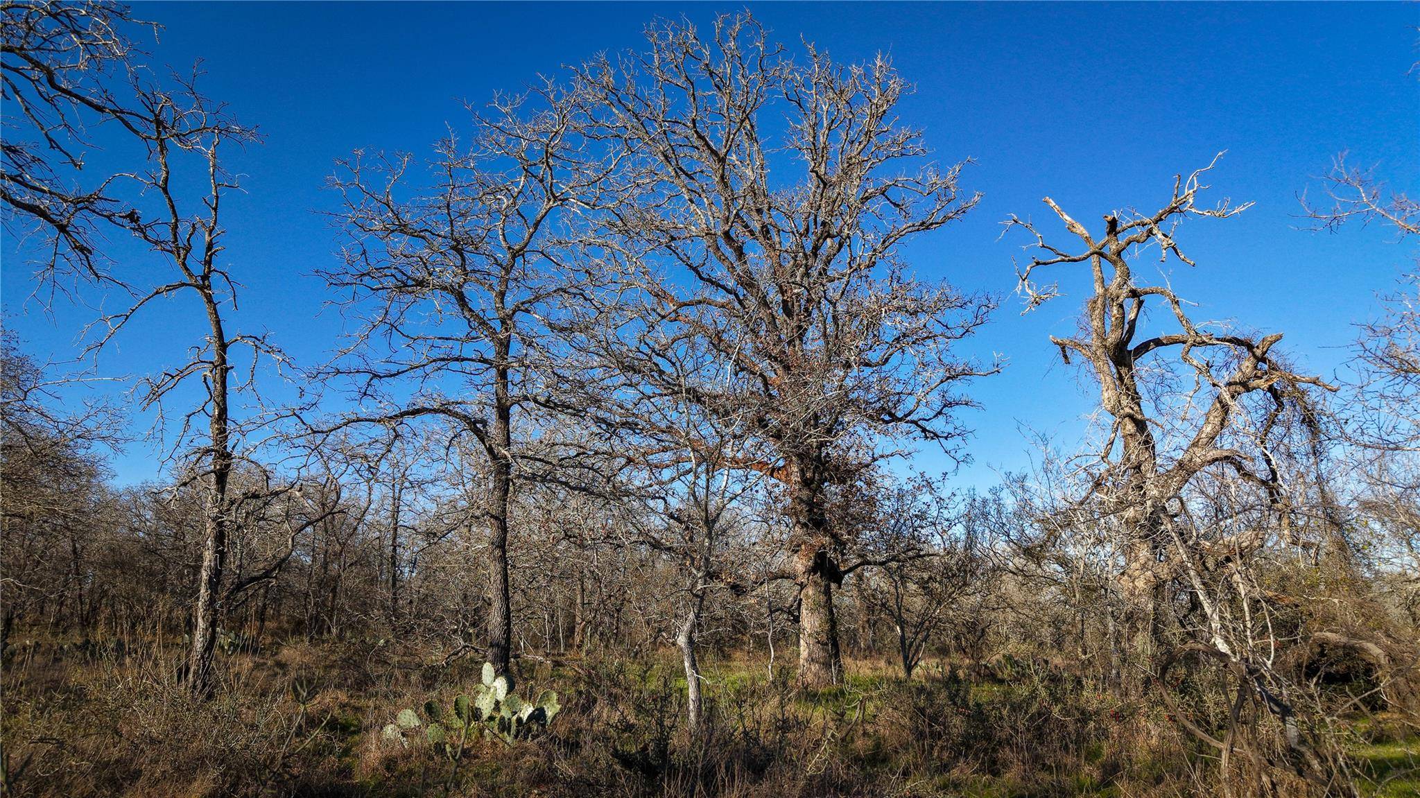 Seguin, TX 78155,0 Tract 6 Cross RD