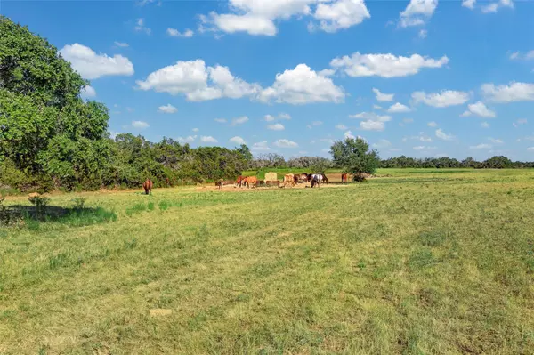 Liberty Hill, TX 78642,2055 County Road 284 parcel B - 68.33 acres