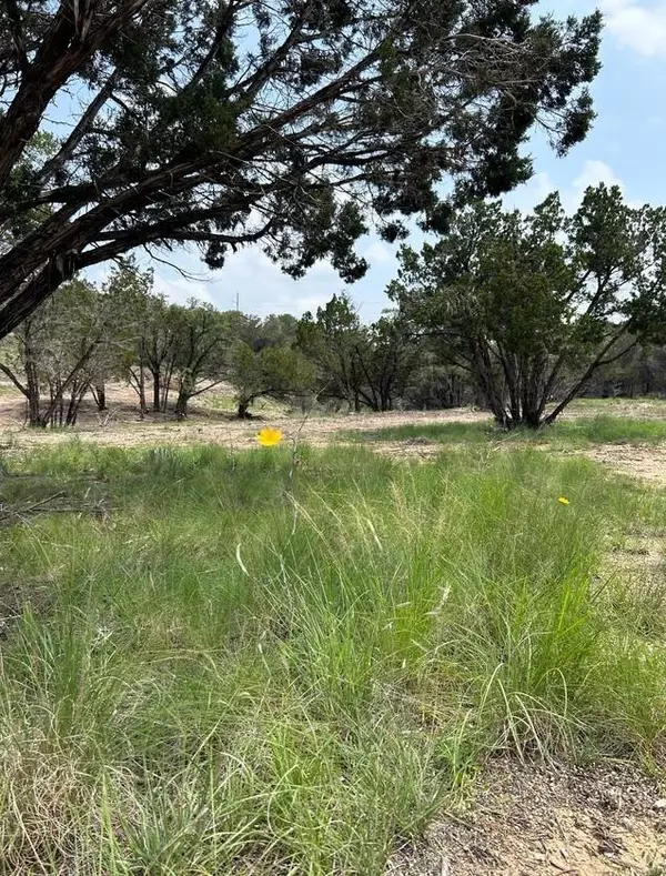 Dripping Springs, TX 78620,00 Old Red Ranch RD