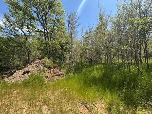 Bastrop, TX 78602,237 Mokulua LN