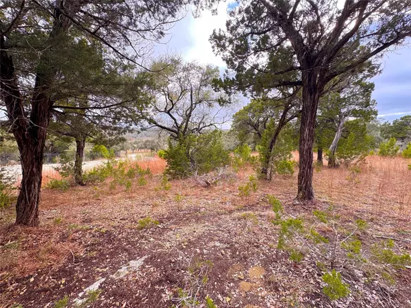 130 Double Tree LN, Canyon Lake, TX 78133