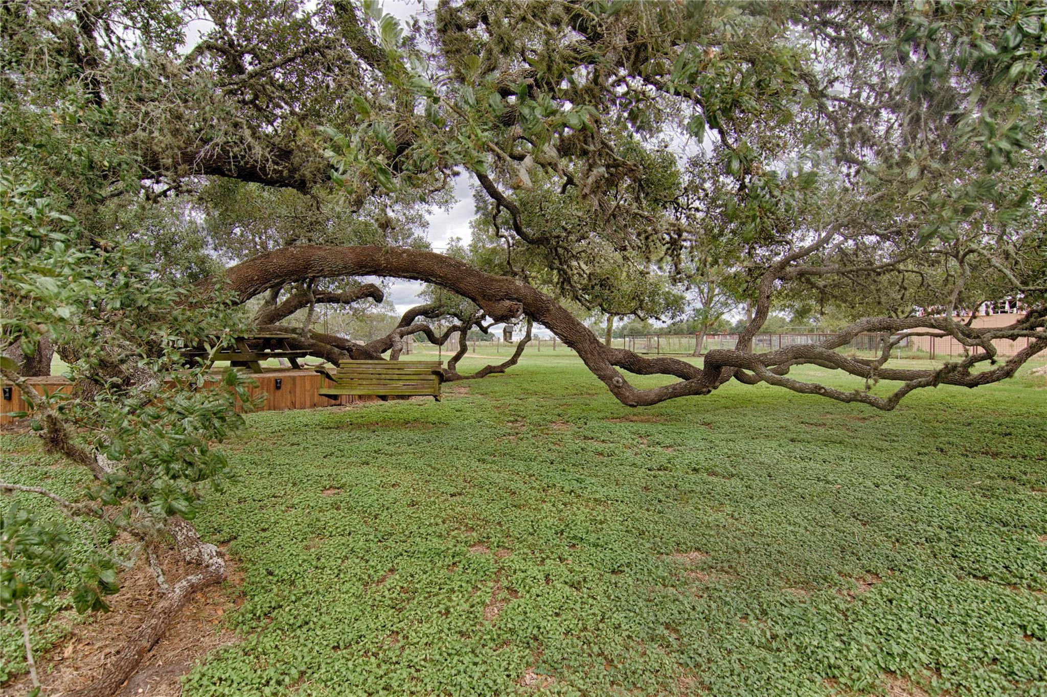 Hallettsville, TX 77964,341 CR 233